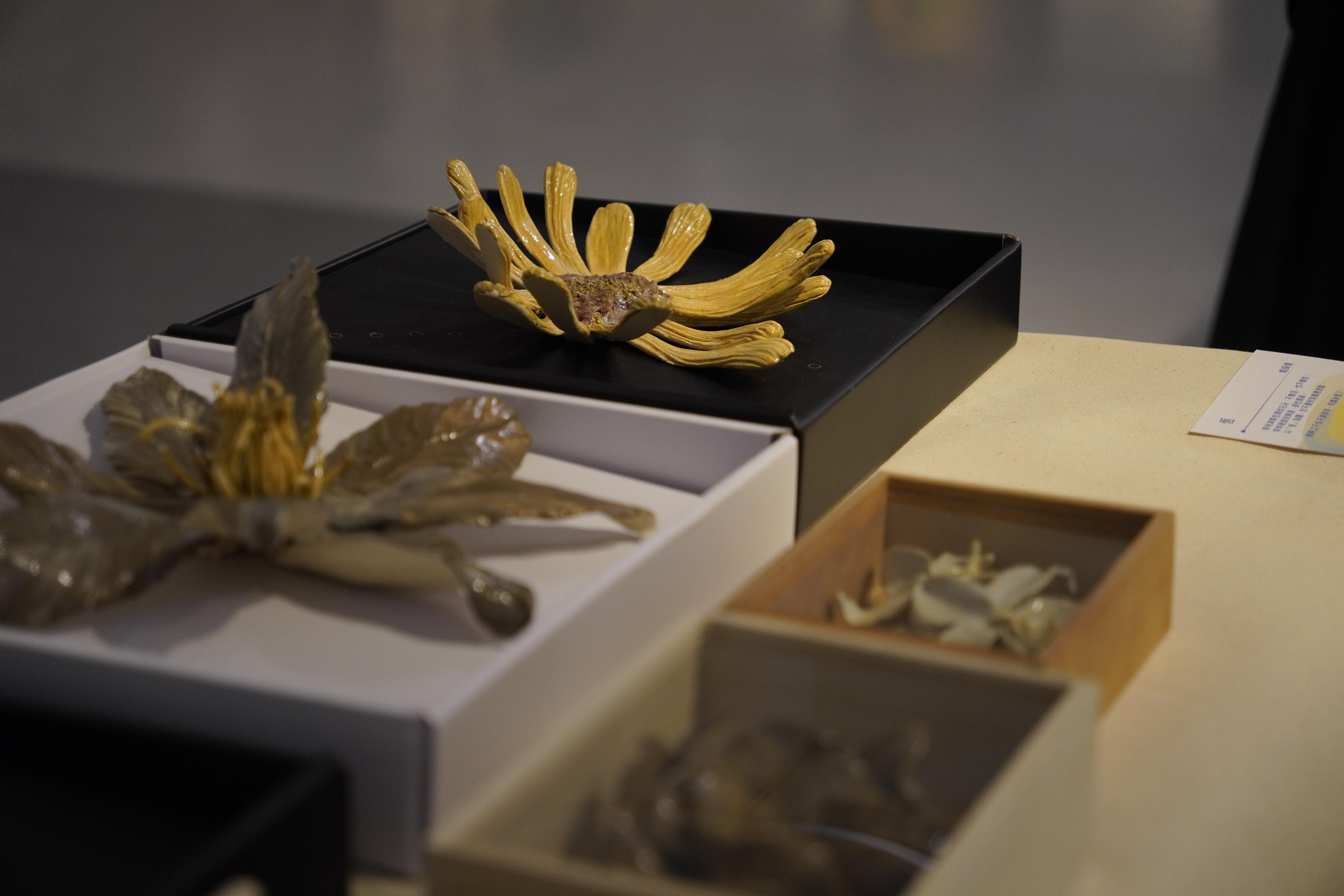 IVY-YAOTSAECHYNG-IVYYCREATION-ARTWORK-ART EXHIBITION