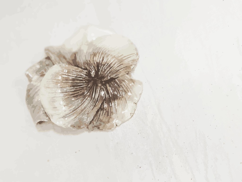 IVY-YAOTSAECHYNG-IVYYCREATION-ARTWORK-FLOWER