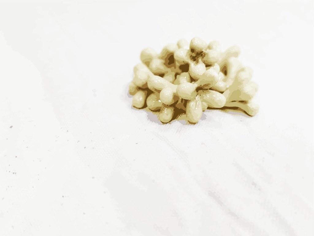 IVY-YAOTSAECHYNG-IVYYCREATION-ARTWORK-FLOWER