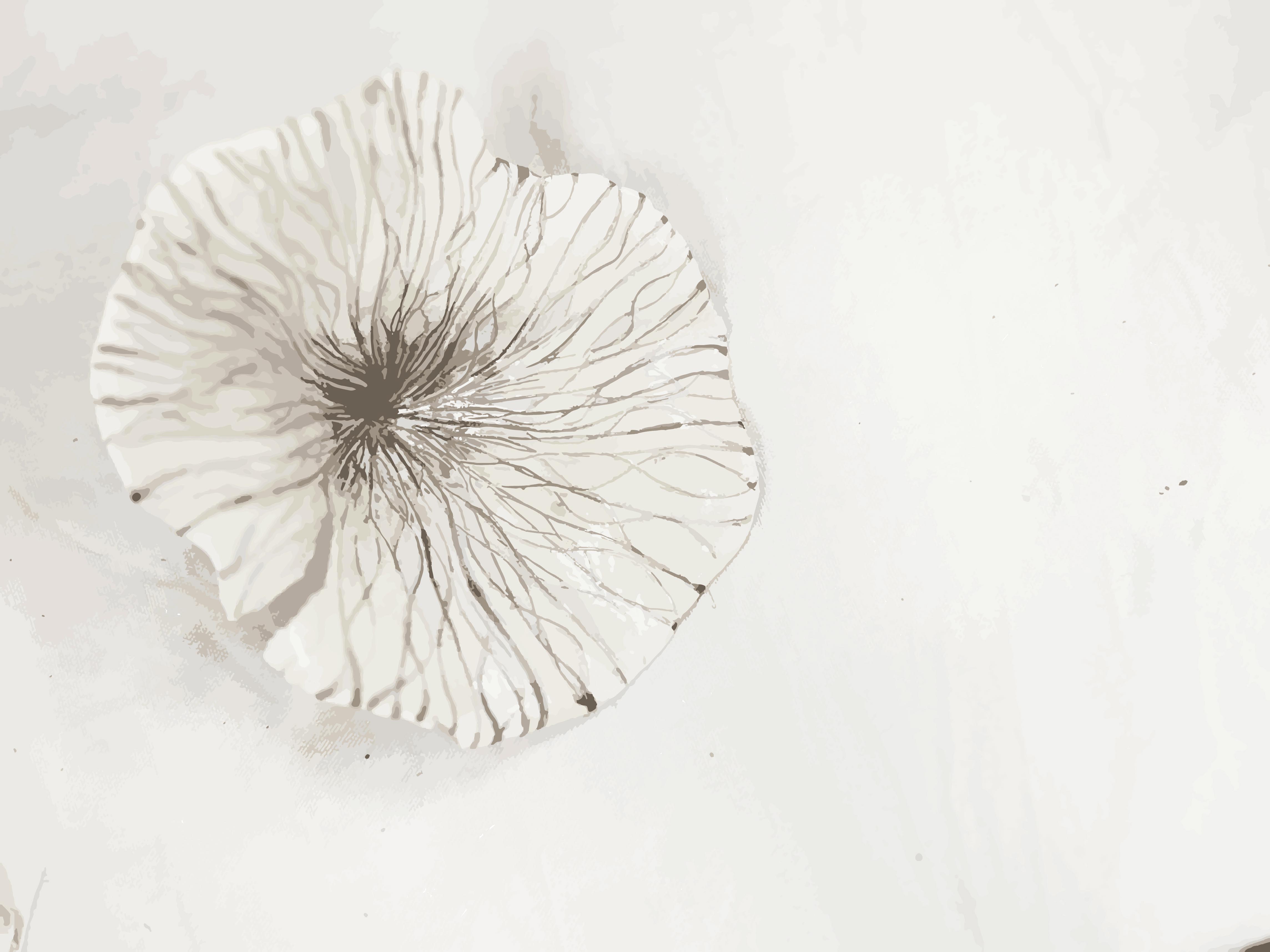 IVY-YAOTSAECHYNG-IVYYCREATION-ARTWORK-FLOWER