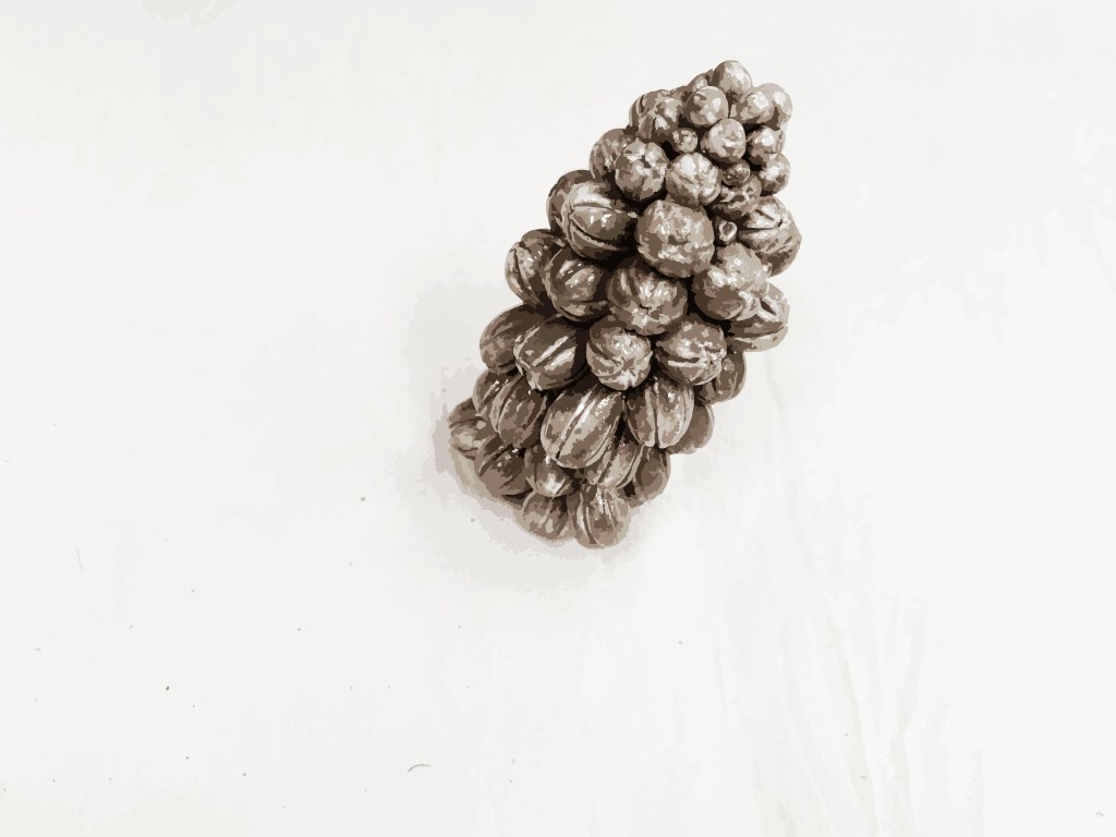 IVY-YAOTSAECHYNG-IVYYCREATION-ARTWORK-FLOWER