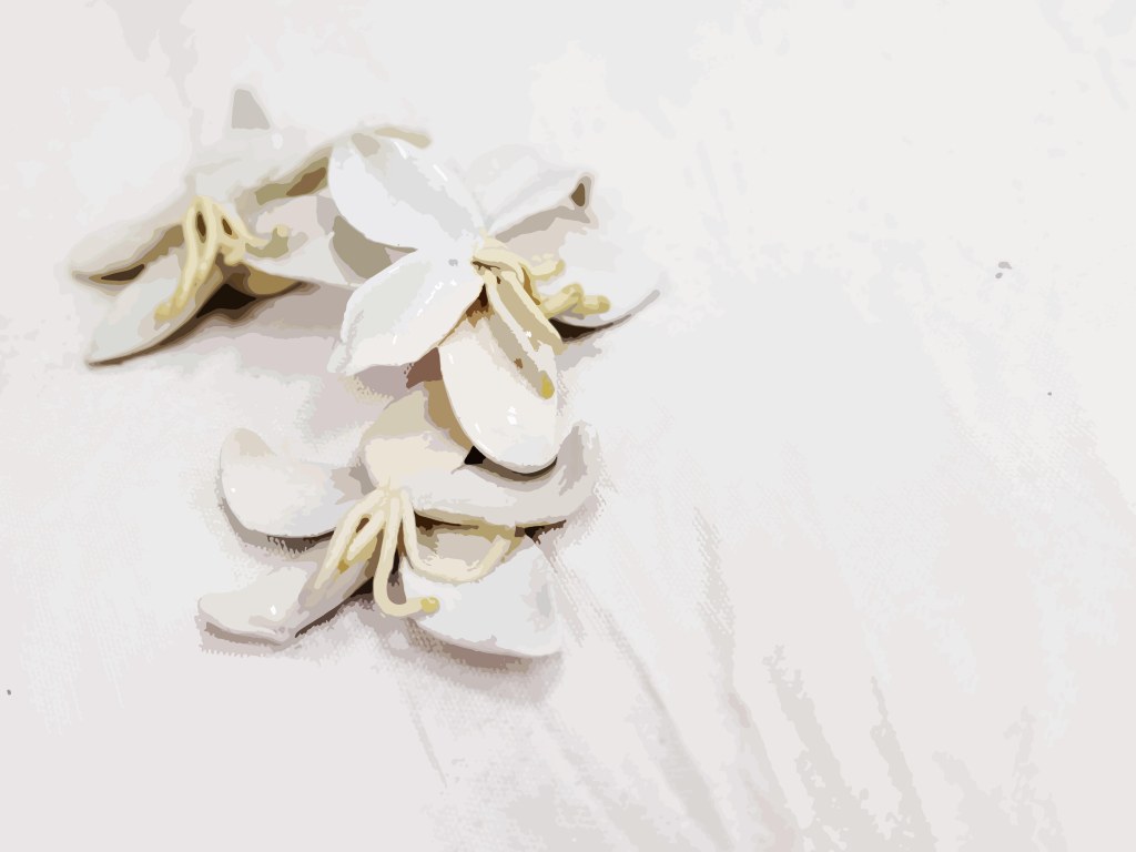 IVY-YAOTSAECHYNG-IVYYCREATION-ARTWORK-FLOWER