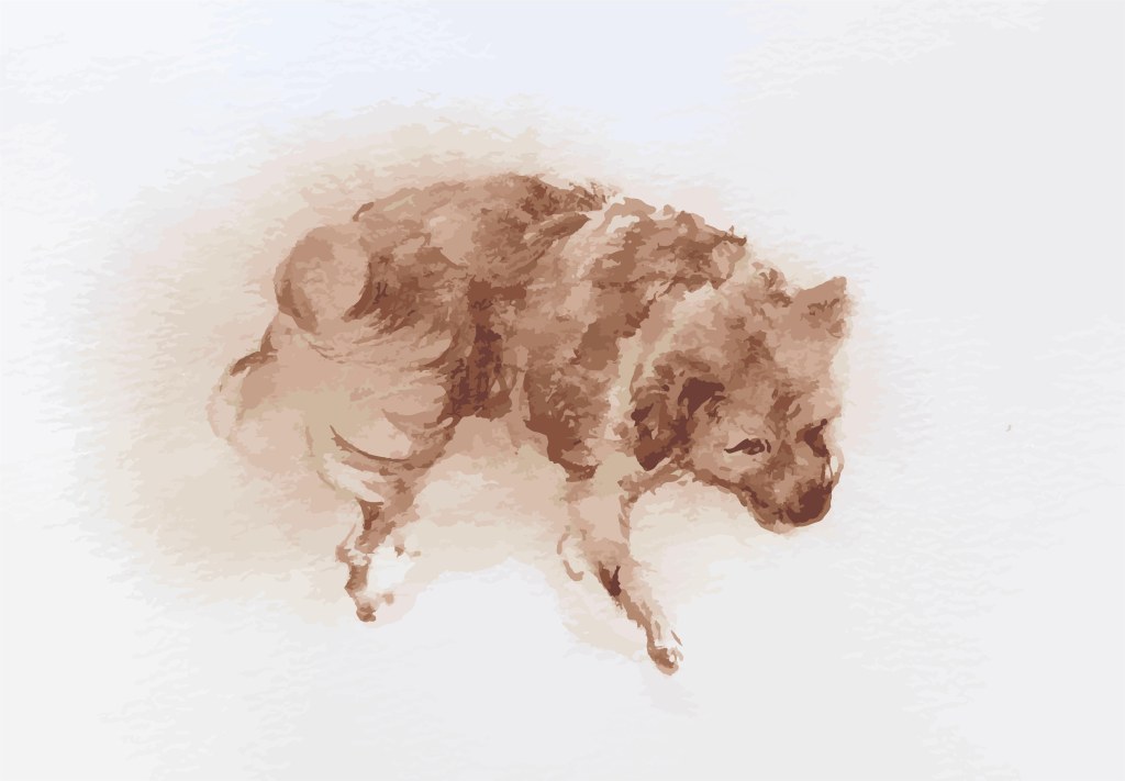 IVY-YAOTSAECHYNG-IVYYCREATION-ARTWORK- ANIMAL