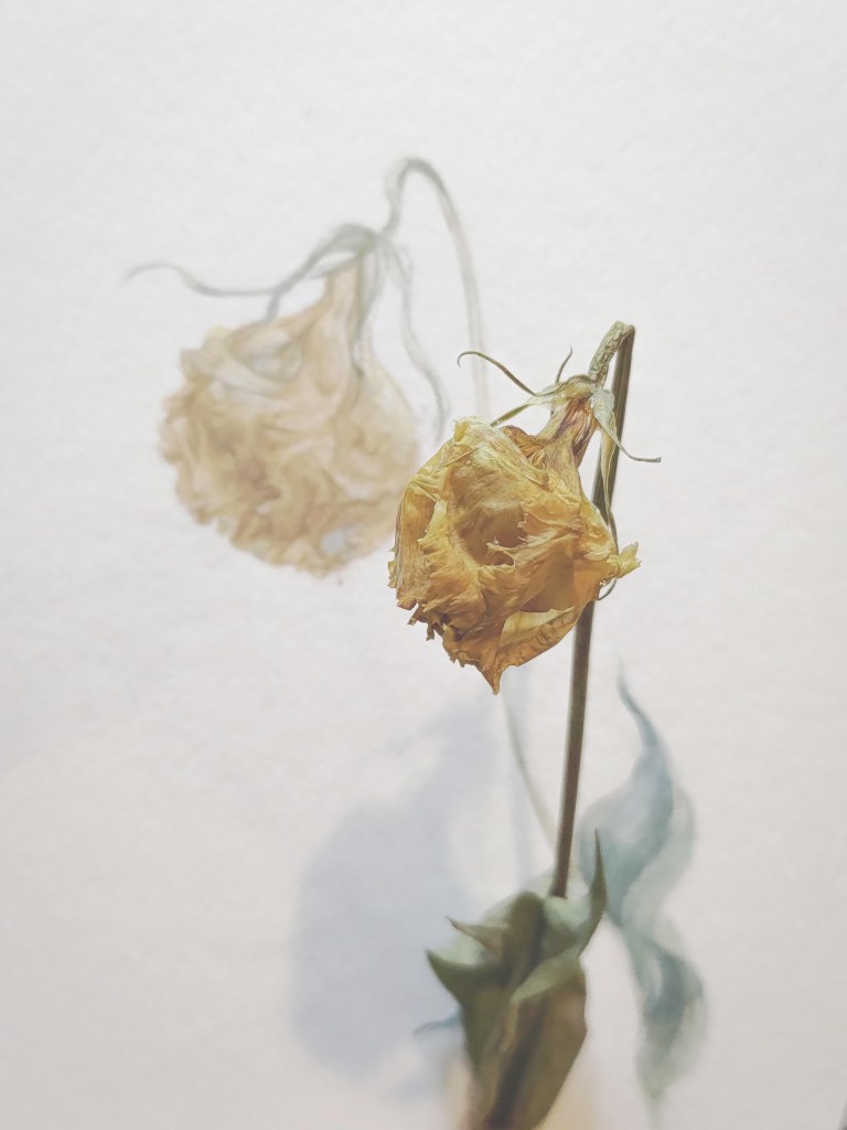 IVY-YAOTSAECHYNG-IVYYCREATION-ARTWORK-FLOWER
