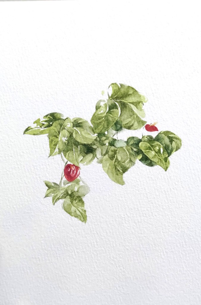 IVY-YAOTSAECHYNG-IVYYCREATION-ARTWORK-FLOWER