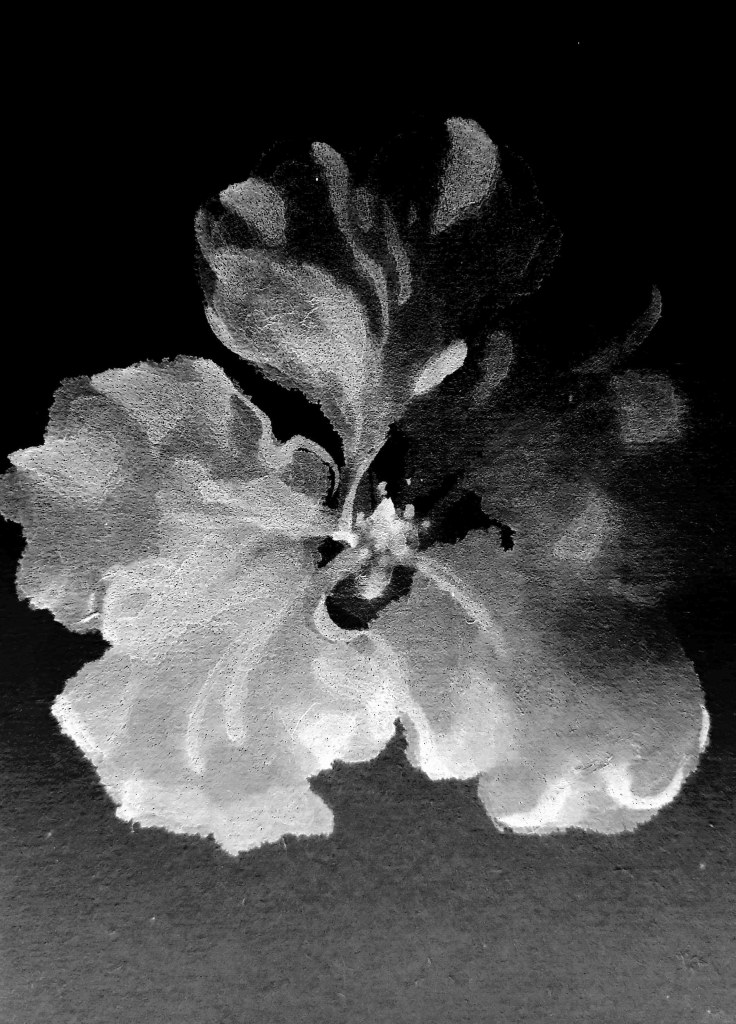 IVY-YAOTSAECHYNG-IVYYCREATION-ARTWORK-FLOWER