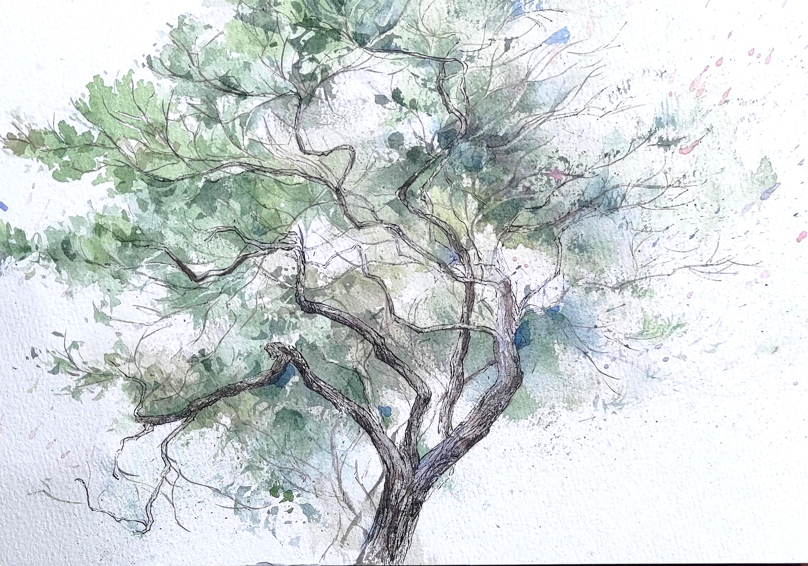 IVY-YAOTSAECHYNG-IVYYCREATION-ARTWORK- NATURAL