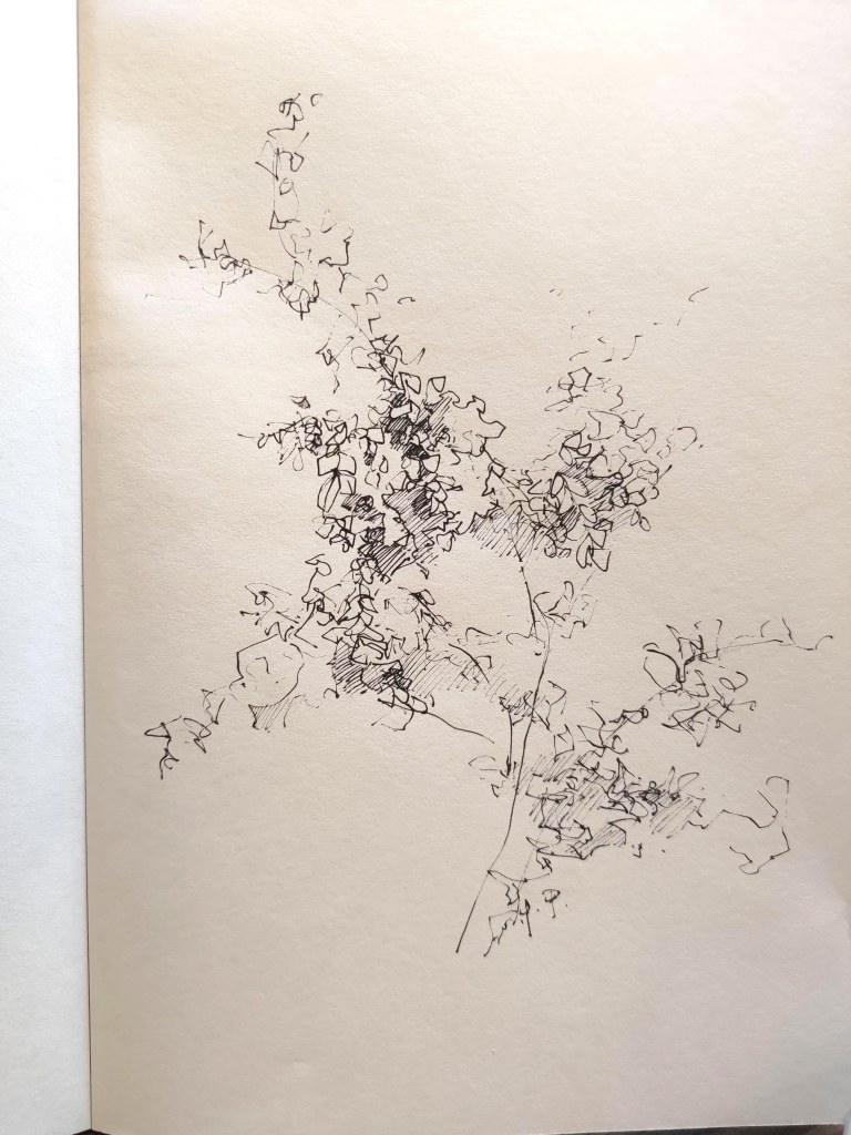 IVY-YAOTSAECHYNG-IVYYCREATION-ARTWORK- NATURAL