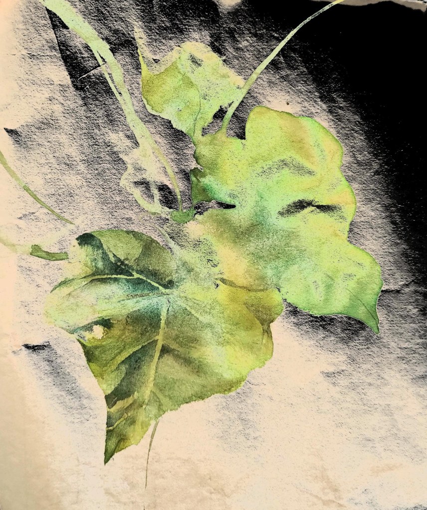 IVY-YAOTSAECHYNG-IVYYCREATION-ARTWORK- NATURAL