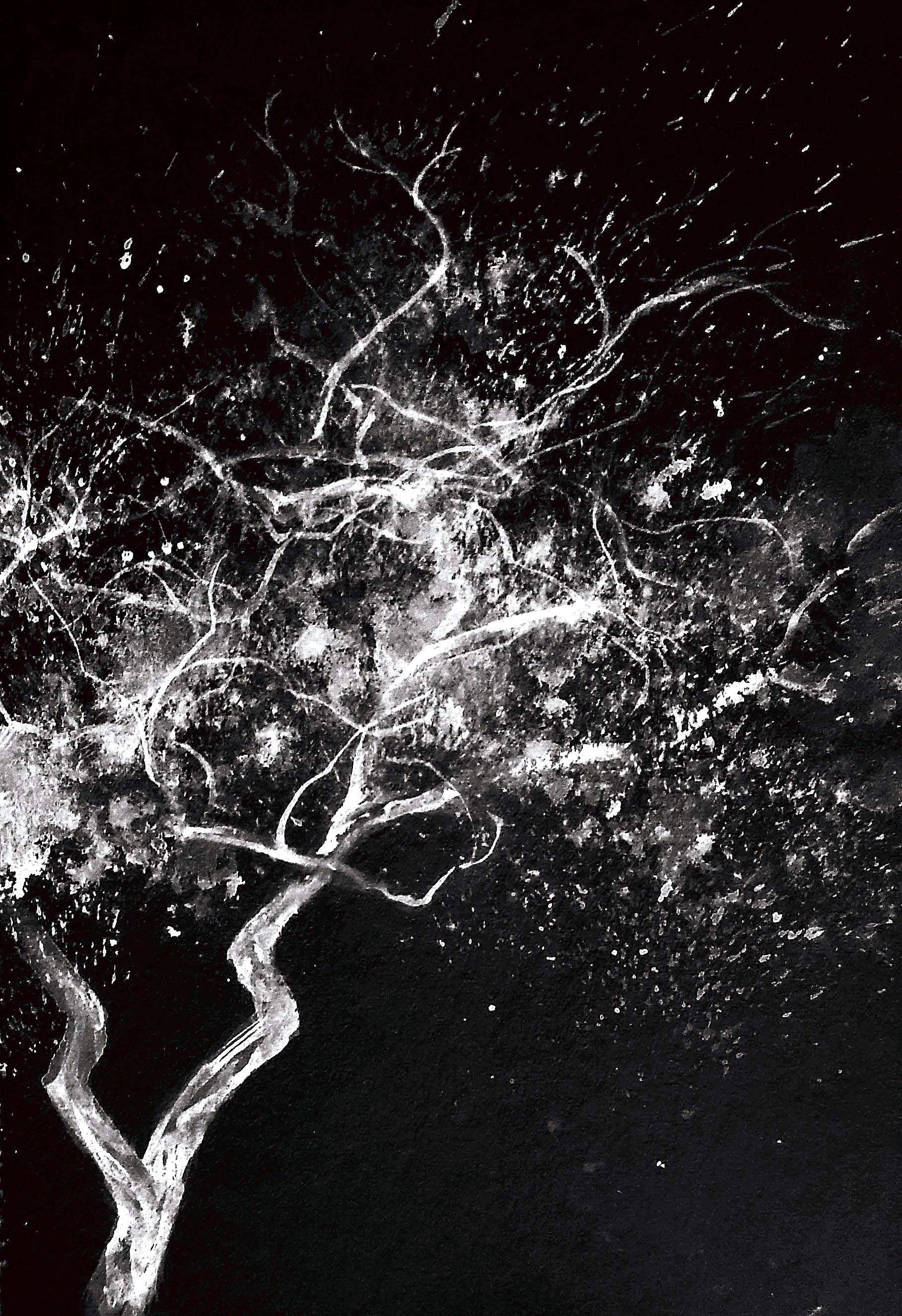 IVY-YAOTSAECHYNG-IVYYCREATION-ARTWORK- NATURAL