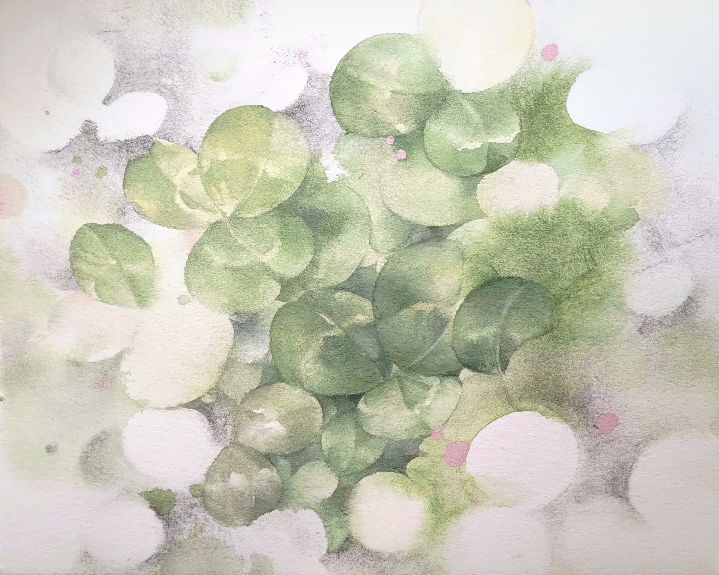 IVY-YAOTSAECHYNG-IVYYCREATION-ARTWORK-FLOWERIVY-YAOTSAECHYNG-IVYYCREATION-ARTWORK-FLOWER